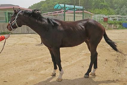 �������� ����