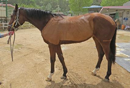 ����� ����