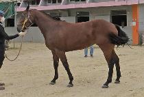 ������̺� (MORNING FIVE) ����