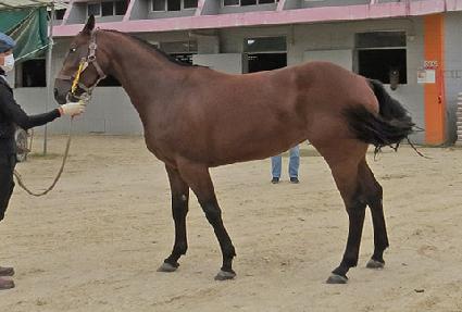 ������̺� ����