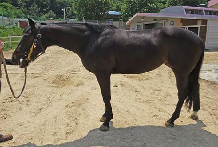 �����ֵ� ����