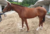 ���и����� (MUNHAK REWARD) ����