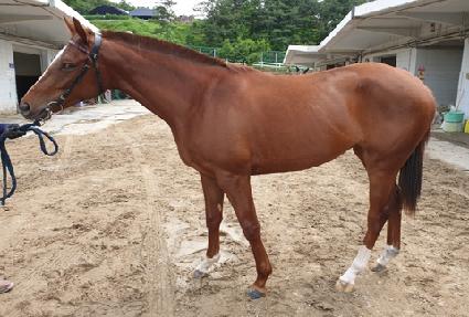 ���и����� ����