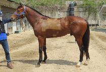 ���к��� (MUNHAK BOSS) ����