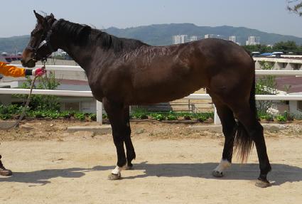 ������ ����