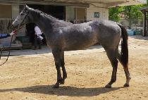 ���й��� (MOONHAK BEONGAE) ����