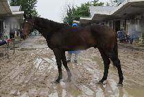 ������ (MUNHAK TAP) ����