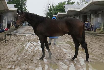 ������ ����