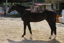 ����ŷ (MUNHAK KING) ����