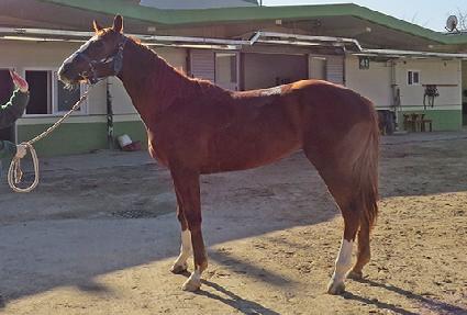 ������Ÿ ����