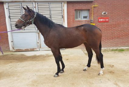 ������Ʈ ����