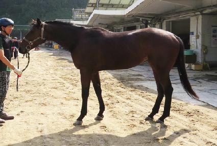 ���ϰ� ����