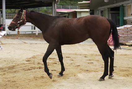 ��ũ���� ����