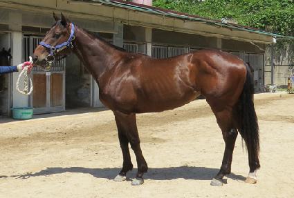 ��õ���� ����