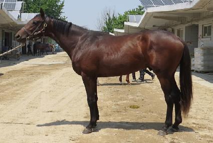 ����ĸƾ ����