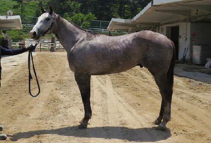 �������� ����