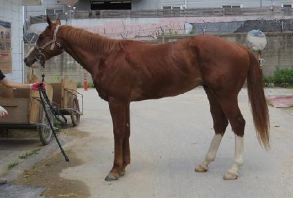 �����ũ ����