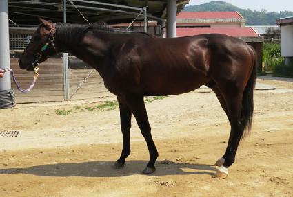 �۷ι��轺 ����