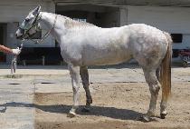 CHEONSA PARK picture