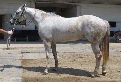 õ��� ����