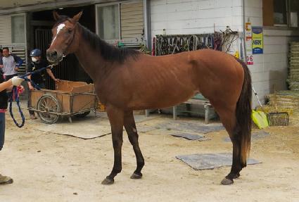 ����� ����