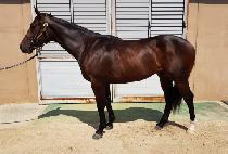 �ݾ�Ŭ���� (GEUM A CLASSY) ����