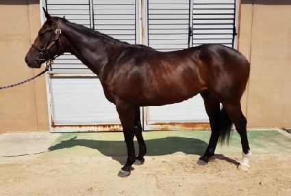 �ݾ�Ŭ���� ����