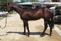 ���ϵ��ڸ��� (WILD KOREA) ����