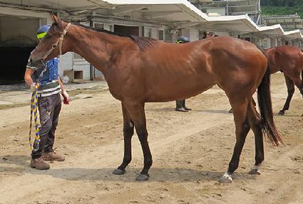 �뵿���� ����