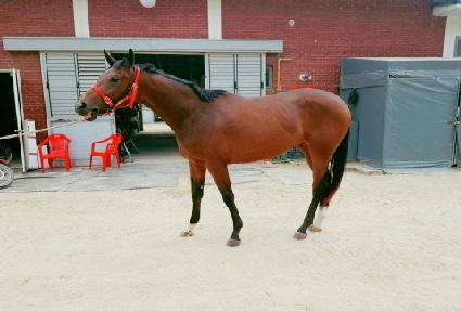 �ƶ���� ����