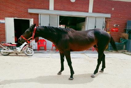 ����ĭ ����