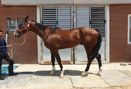 �����̽����� ����