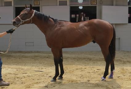 ������ ����