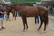 �ູ�Ǿ�� (CHUKBOKUI YAKSOK) ����