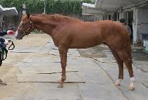 �������� (MOVIECUS) ����