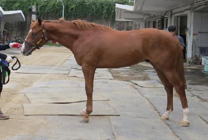 �������� ����