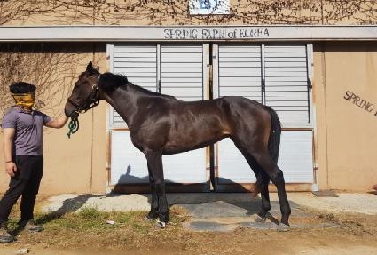 ��ȭ�ǹݼ� ����