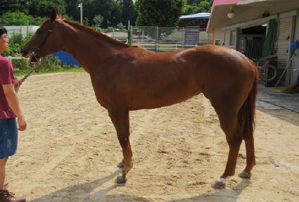 ��ť���� ����