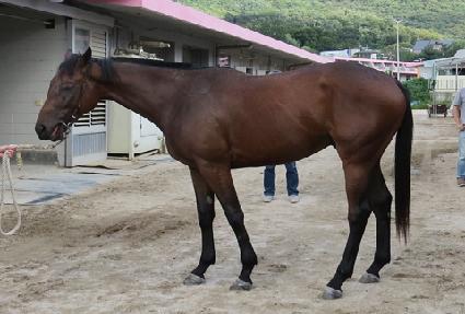 �ο����� ����