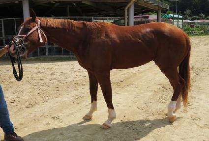 ���� ����