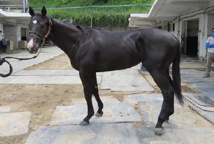 ����� ����