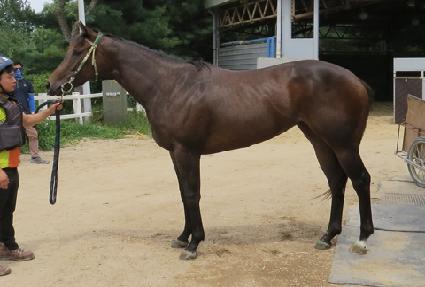 ������̽� ����