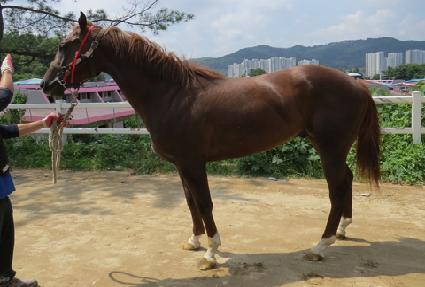 ��ũ���丮 ����