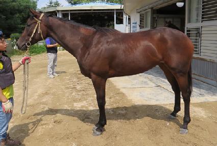 ��� ����