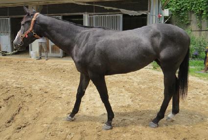 �۷ι���Ƽ ����