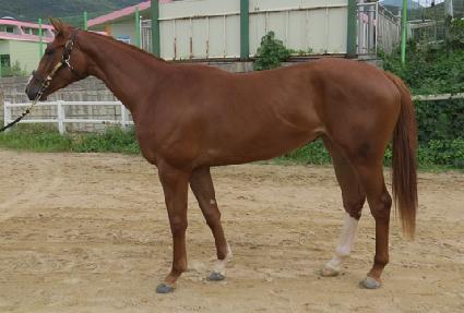 �����轺 ����