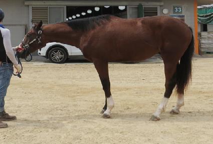 ��Ʈ���� ����