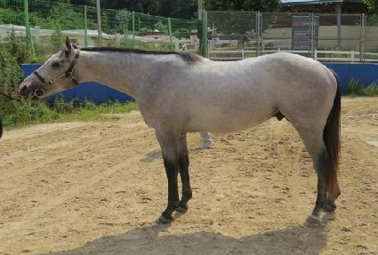 �����ȣ ����