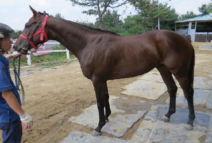 ����Ʈ�Ӵ� ����