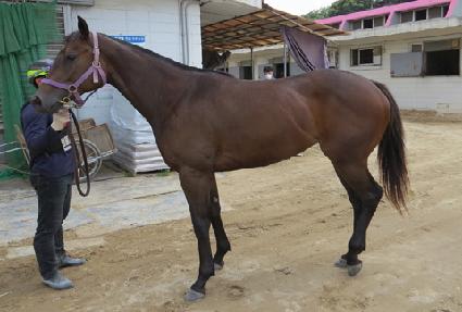 �극�̺��� ����